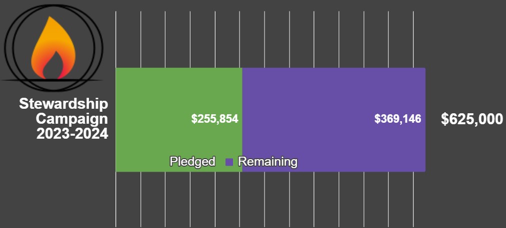 Progress bar chart displaying our current results in the stewardship campaign drive.