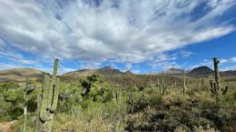 A picture of the Arizona Desert.