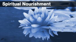 A lotus flower floating on the water with the words spiritual nourishment at the top in white