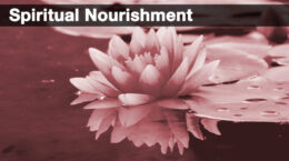 A lotus flower floating on the water with the words spiritual nourishment at the top in white