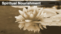 A lotus flower floating on the water with the words spiritual nourishment at the top in white