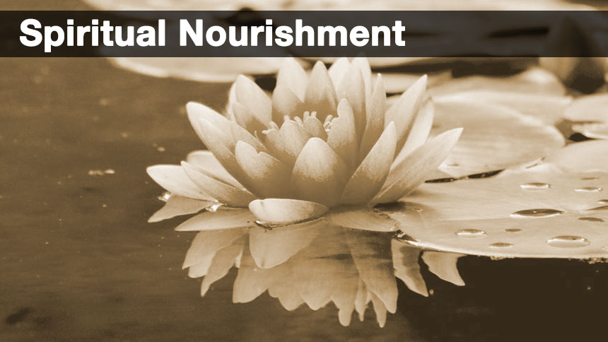 A lotus flower floating on the water with the words spiritual nourishment at the top in white